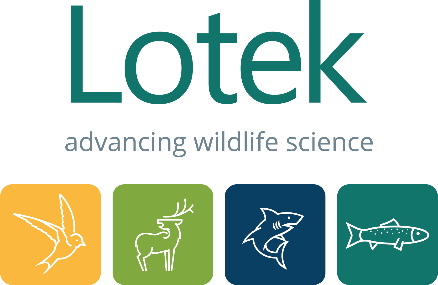 Lotek